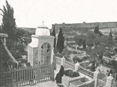 Il Giardino del Getsemani, Gerusalemme, Palestina, 1895 da W and S Ltd