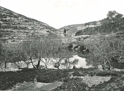 La Piscina di Siloam, Gerusalemme, Palestina, 1895 da W and S Ltd