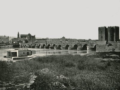 Il ponte romano, Cordoba, Spagna da W and S Ltd