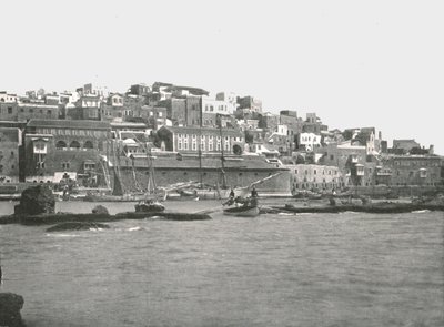 Vista dal mare, Giaffa, Palestina, 1895 da W and S Ltd