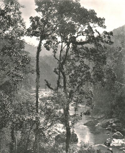 Veduta del fiume Kelani, Kurunegala, Ceylon da W and S Ltd