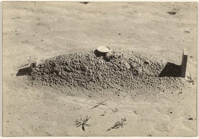 Una tomba battista, Contea di Hale, Alabama da Walker Evans