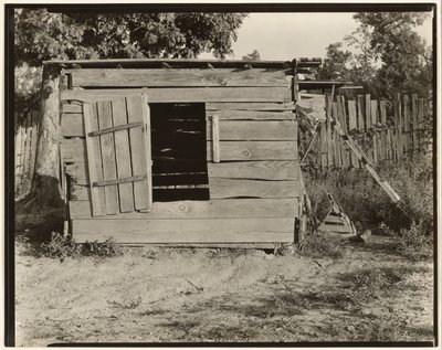 Pollaio nella fattoria di Floyd Burroughs, Contea di Hale, Alabama da Walker Evans