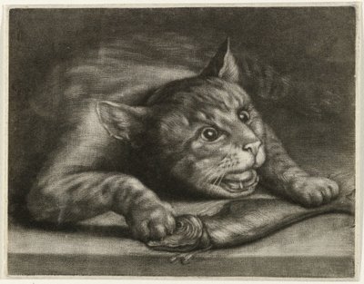 Gatto con un pesce da Wallerant Vaillant