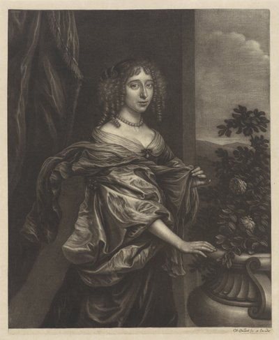 Ritratto di una donna accanto a un cespuglio di rose da Wallerant Vaillant