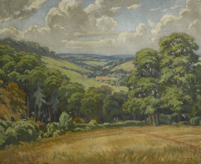 Scena del Devon, vicino a Widdecombe Moor, c.1949 da Walter Ashworth