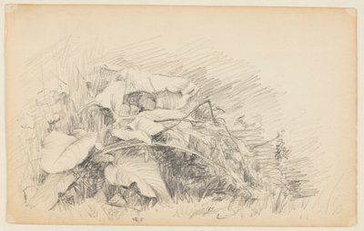 Studio di erba e piante da Walter Clark
