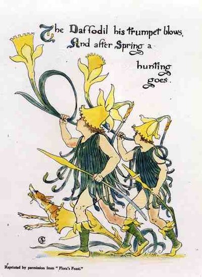 Tromba di narciso, da Flora