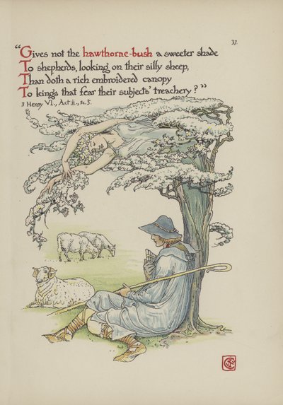 Fiori dal giardino di Shakespeare da Walter Crane