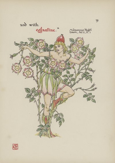 Fiori dal giardino di Shakespeare da Walter Crane