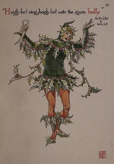 Agrifoglio, da 