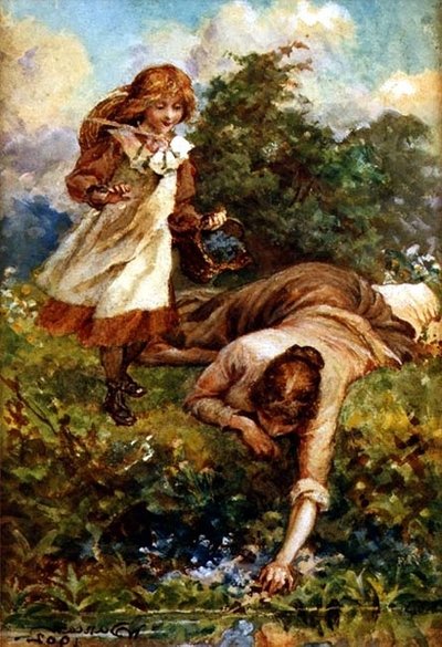 Raccolta di campanule da Walter Duncan