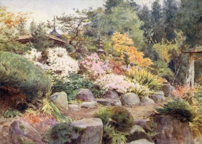 Un Giardino Roccioso a Nikko, Cosmos e Acero da Walter Frederick Roofe Tyndale