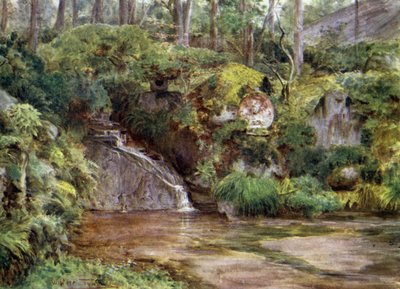 Un giardino roccioso a Nikko con immagine di Kwannon da Walter Frederick Roofe Tyndale