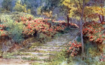 Azalee vicino a una vecchia scalinata, Kyoto da Walter Frederick Roofe Tyndale