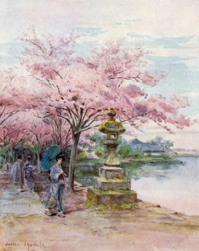 Fiori di ciliegio e lanterna di pietra, Parco Ueno da Walter Frederick Roofe Tyndale