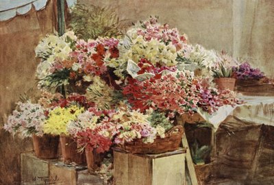 Bancarella di fiori, mercato di Mentone da Walter Frederick Roofe Tyndale