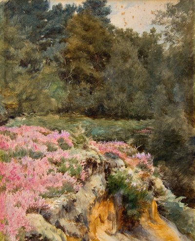 Testa della Cava di Ghiaia, Royden da Walter Frederick Roofe Tyndale
