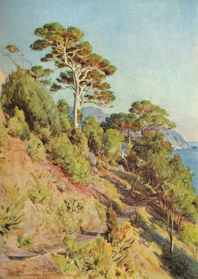 Nella Villa Piuma, Sestri Levante, c. 1910, 1912 da Walter Frederick Roofe Tyndale