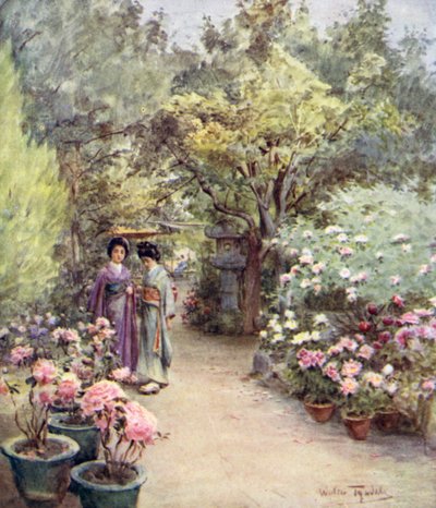 Peonie in un giardino del tè, Kyoto da Walter Frederick Roofe Tyndale