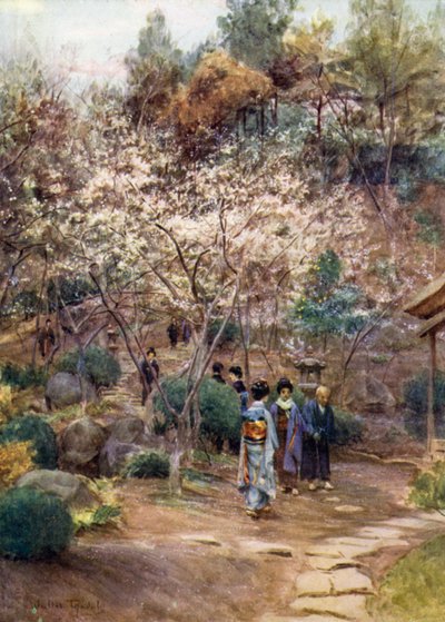 Alberi di prugne ad Atami da Walter Frederick Roofe Tyndale