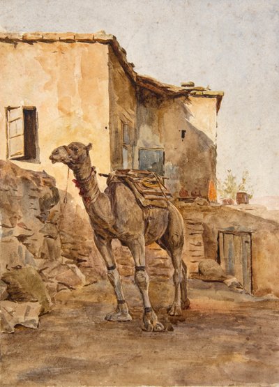 Cammello legato da Walter Frederick Roofe Tyndale