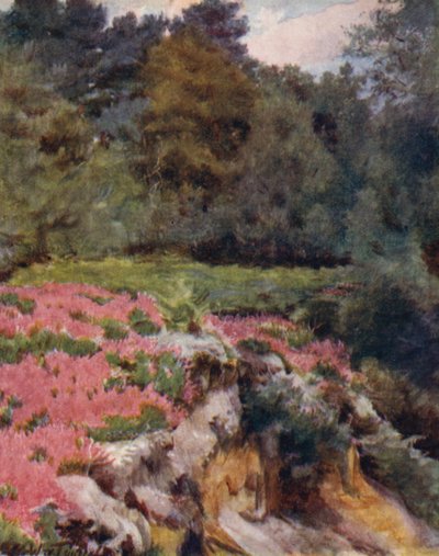 La Nuova Foresta: Una cava di ghiaia a Royden da Walter Frederick Roofe Tyndale