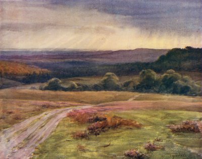 La Nuova Foresta: Passeggiata di Boldrewood, Puck Pitts, dalla strada di Fritham da Walter Frederick Roofe Tyndale