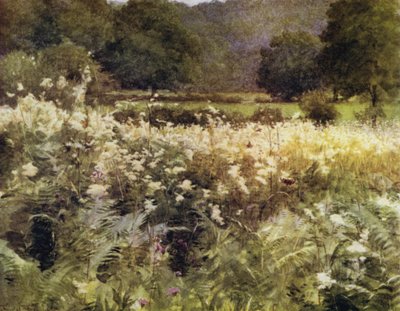 La Nuova Foresta: Regina dei prati vicino a Royden da Walter Frederick Roofe Tyndale