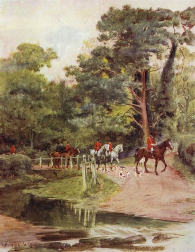 La Nuova Foresta: Minstead Brook da Walter Frederick Roofe Tyndale