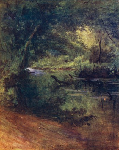 La Nuova Foresta: Northgate, vicino a Culverley, nella Lodge Walk da Walter Frederick Roofe Tyndale
