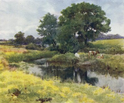 La Nuova Foresta: Sul fiume Lymington da Walter Frederick Roofe Tyndale