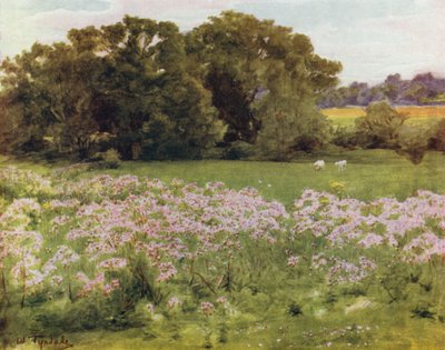 La Nuova Foresta: Riversdale, Boldre da Walter Frederick Roofe Tyndale