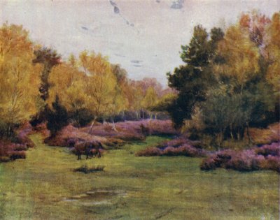 La Nuova Foresta: Rushpole Wood, Lyndhurst da Walter Frederick Roofe Tyndale