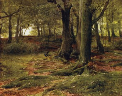 La Nuova Foresta: The Hill Woods, Lyndhurst da Walter Frederick Roofe Tyndale
