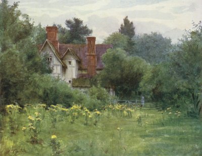 La Nuova Foresta: La casa del mulino, Brokenhurst da Walter Frederick Roofe Tyndale
