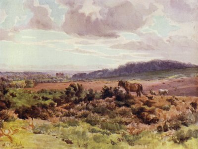 La Nuova Foresta: Vista da Picket Post sulla Strada di Ringwood da Walter Frederick Roofe Tyndale