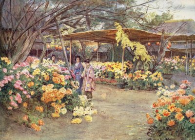 Osservando i Crisantemi, Mukojima, Tokyo da Walter Frederick Roofe Tyndale