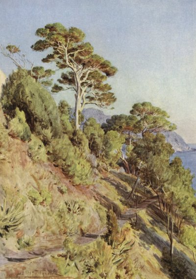 Villa Puma, Sestri Levante da Walter Frederick Roofe Tyndale