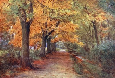 Wessex: Bockhampton Bank, vicino a Dorchester da Walter Frederick Roofe Tyndale