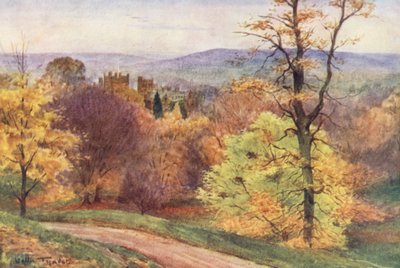 Wessex: Parco di Melbury da Walter Frederick Roofe Tyndale
