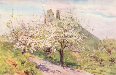 Wessex: Primavera in Wessex da Walter Frederick Roofe Tyndale