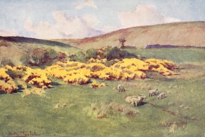 Wessex: Estate nel Wessex da Walter Frederick Roofe Tyndale