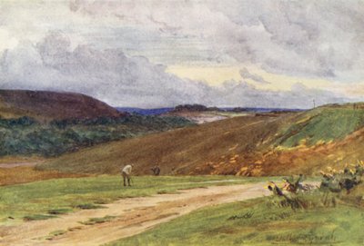 Wessex: Il campo da golf di Broadstone, vicino a Poole da Walter Frederick Roofe Tyndale