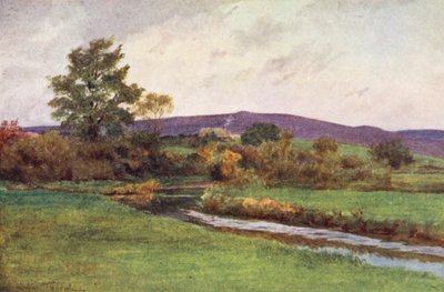 Wessex: Il "Rainbarrow" del Ritorno del Nativo da Walter Frederick Roofe Tyndale