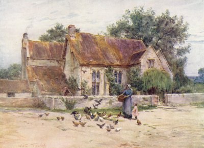 Wessex: Boschi vicino a Mere, Wilts da Walter Frederick Roofe Tyndale