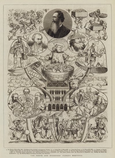 Gli incontri sui funghi di Perth e Hereford da Walter Granville Smith