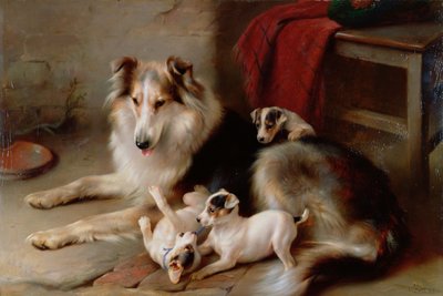 Un Collie con cuccioli di Fox Terrier, 1913 da Walter Hunt