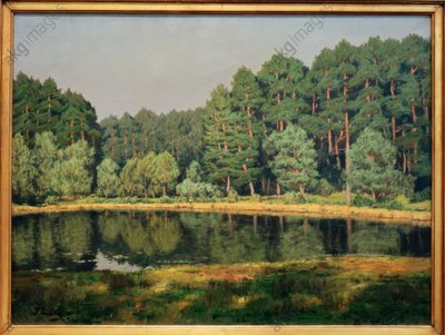 Paesaggio boschivo con un lago della Marca da Walter Leistikow
