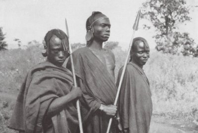 Kikuyus dall